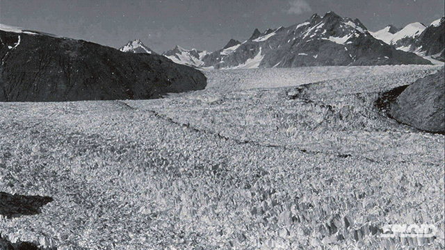 Muir Glacier in Alaska, shot in August, 1941 and August, 2004