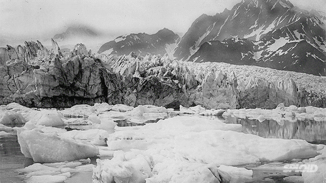 Pedersen Glacier, Alaska, Summer 1917, Summer 2005